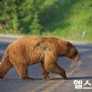 돌산공원 내 도로 이미지