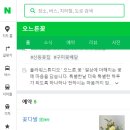 오느른꽃 이미지
