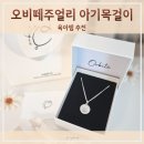 우리 아기 첫 목걸이 오비떼주얼리 순은 미아방지목걸이 후기