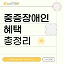 중증장애인지역생활지원센터 | [한국장애인고용정보센터] 2026 중증장애인 복지 핵심 혜택과 일자리 지원 가이드