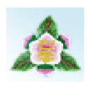 진동초등학교 이미지