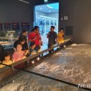 진주 충무공동 익룡ㆍ새ㆍ공룡발자국 화석산지 이미지