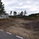 석포공인중개사사무소 이미지