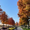 호텔야자순천조례점 이미지