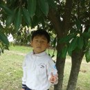 서항근린공원 이미지