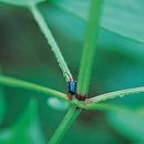 복음보청기 이미지