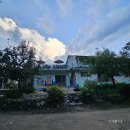 하방소 포레스트 이미지