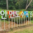 안면도수목원 티스토리