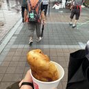 모란시장 | 모란시장 돼지부속 무한리필 쌍둥이네 솔직 후기