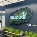짧지만 즐거웠던 제주 기록