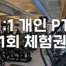 힛더핏(HIT THE FIT) - 용인시 수지구 | 힛더핏(HIT THE FIT)