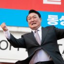 그린통상프리미엄 이미지