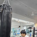부천유도체육관 | 부천 키즈복싱, 다이어트 &amp; 체력 향상까지!올라이프복싱에서 즐겁게 땀 흘려요