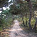 돈달산 이미지