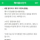 헤어룸 프린지 이미지