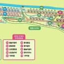 38야영장 이미지