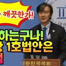 이래서 조국 조국 하는구나..조국혁신당 국회 입성하면 1호법안은 한동훈 특검법 발의/ 이미지