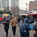 벼룩이구제 - 청송군 진보로 148-1 | 벼룩이구제