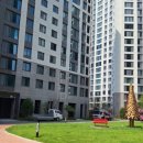 합성동262 이미지