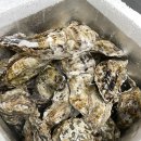 청주부동산사랑합동공인중개사사무소 | 동남지구맛켓/맛ket/내돈내산