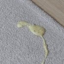 라임동물병원 | 청라라임동물병원(이전 후 방문 후기)