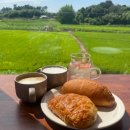 봄이 아빠의 댕댕이 간식 이미지