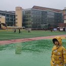 아라초등학교 병설유치원 네이버블로그