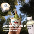 담양제과 | 담양여행 코스 모음.zip ② | 관방제림길 전동카트, 젤라또 낼름, 담양제과