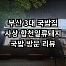괘법동 르네시떼 우리은행 옆 | 부산 사상(서부산) 현지인 국밥 맛집 합천일류돼지국밥 방문 및 웨이팅 후기