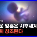 미국의 공인된 최면요법 박사가 연구한 영혼과 사후세계의 진실｜영혼들의 운명 1탄 이미지