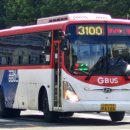 선진버스 이미지