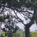 수채화별당 이미지