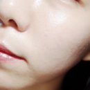 선해어 이미지
