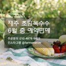 초당농장 이미지