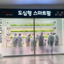 민영농장 네이버블로그