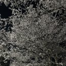 부산대학교 대운동장 이미지