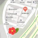 NR-46[경인로]-상-234 | 광교 대형카페 르디투어 내돈내산 후기(주의사항)