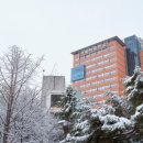 가톨릭대학교 이미지