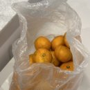 명랑한가 이미지