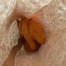 능동로R 이미지