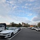 코델리아 이미지