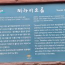 유채꽃길에 머문시간 이미지