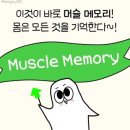 하루 피트니스 네이버블로그