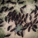 min to MAX 이미지