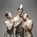 영상으로 만나는 발레<라 바야데르> 이미지