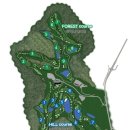 니어 포레스트 이미지