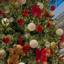 트리멍 | 트리멍 즐기는 용인 크리스마스 카페 포토존 가득