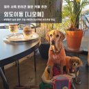 제주 오션뷰 카페 생딸기 티라미수가 맛있는 니모메 / 외도 애견동반 카페 추천