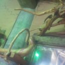 어전농장 이미지