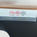 샐리스 제주호텔 | 제주 애월 가성비 숙소 온수풀이 있는 샐리스호텔 패밀리룸 내돈내산 후기